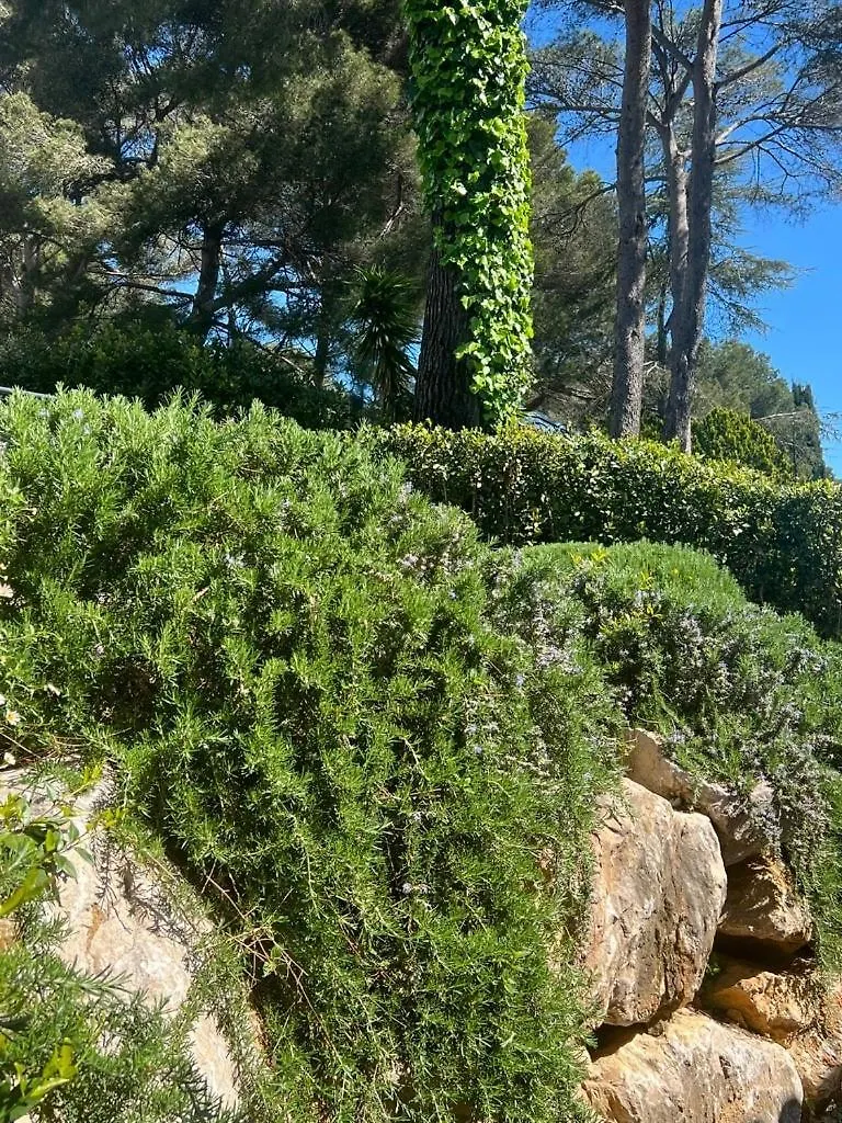 Villa Les Jasmins - Le Cannet-Vallauris - Modern With Ac, Ideal For Fun And Work